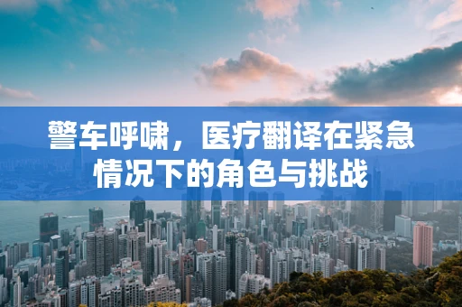 警车呼啸，医疗翻译在紧急情况下的角色与挑战