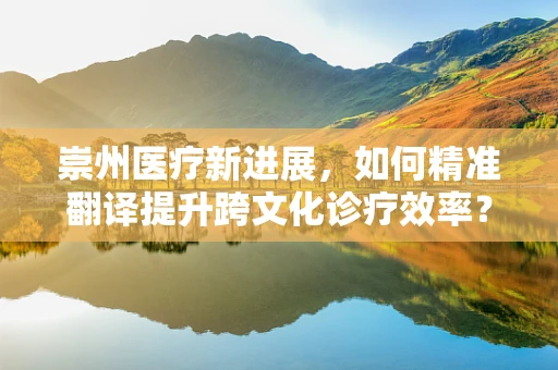 崇州医疗新进展，如何精准翻译提升跨文化诊疗效率？