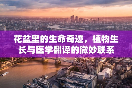 花盆里的生命奇迹，植物生长与医学翻译的微妙联系