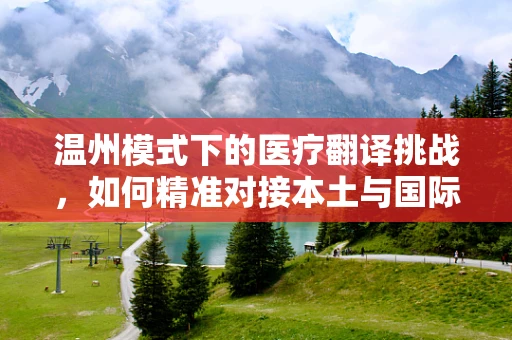 温州模式下的医疗翻译挑战，如何精准对接本土与国际医疗术语？